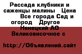 Рассада клубники и саженцы малины › Цена ­ 10 - Все города Сад и огород » Другое   . Ненецкий АО,Великовисочное с.